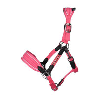 Licol HKM Maui pour shettys Rose