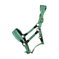 Licol HKM Maui pour shettys Vert Licol HKM Maui pour shettys Vert