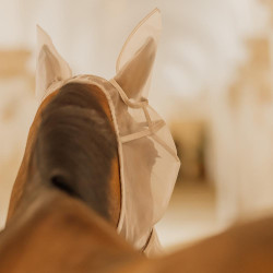 Masque anti-mouches Classic avec oreilles et couvre-nez Kentucky Beige