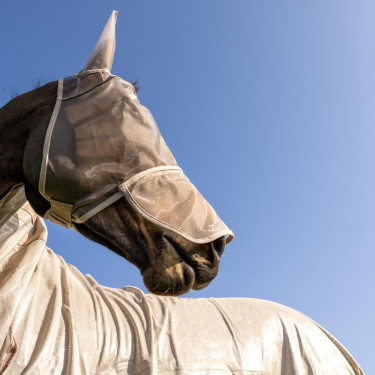 Masque anti-mouches Classic avec oreilles et couvre-nez Kentucky Beige