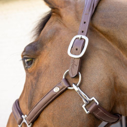 Licol Cuir Extra Souple Working By Dy'on Brun Marron