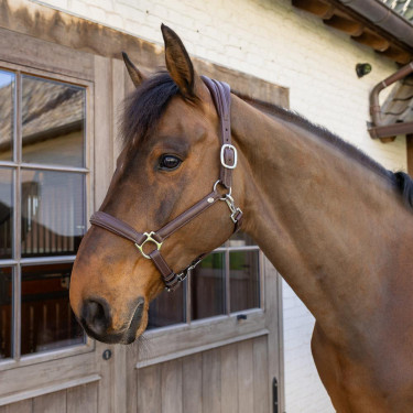 Licol Cuir Extra Souple Working By Dy'on Brun Marron