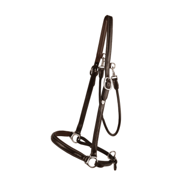 Licol De Pansage Working By Dy'on Marron