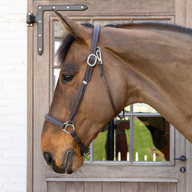 Licol De Pansage Working By Dy'on Marron