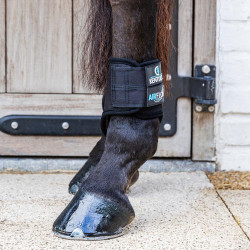 Protège boulets Kentucky 3D Air Flow Postérieurs Noir