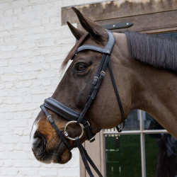 Mors à anneaux Flex Hard Velari