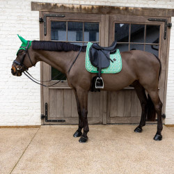 Tapis de Selle Velvet Pied-de-Poule Dressage Kentucky Vert clair / colourful Tapis de Selle Velvet Pied-de-Poule Dressage Kentucky Vert clair / colourful
