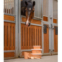 Cuillère à mash Waldhausen Pêche Rose