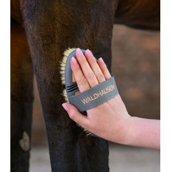 Brosse chiendent Waldhausen Flex Pêche Rose