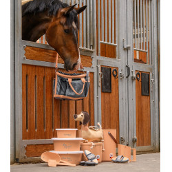 Brosse Waldhausen Flex crin de cheval Pêche Rose