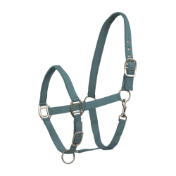 Licol Waldhausen Satin Vert pin