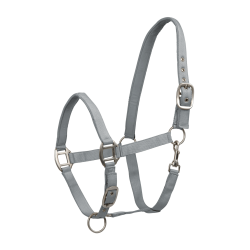 Licol Waldhausen Satin Gris chrome