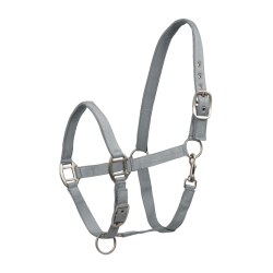 Licol Waldhausen Satin Gris chrome