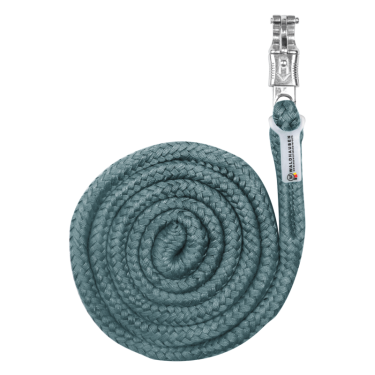 Longe de licol Waldhausen Economic mousqueton Anti-Panique Vert pin