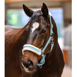 Licol Waldhausen Elegant Bleu clair