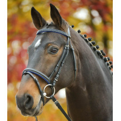 Bridon Star Diamond Bleu