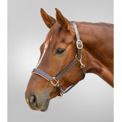 Licol cuir Rosé Waldhausen X-Line Marron