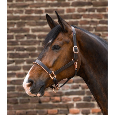 Licol cuir Rosé Waldhausen X-Line Marron