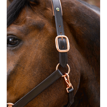 Licol cuir Rosé Waldhausen X-Line Marron