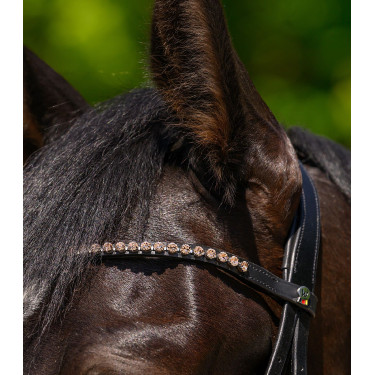 Frontal Glam noir X-Line Waldhausen Noir / pêche