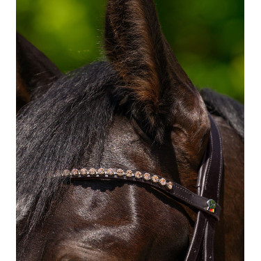 Frontal X-Line Waldhausen Glam Marron / pêche