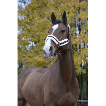 Licol Norton Confort Licol Norton Confort
