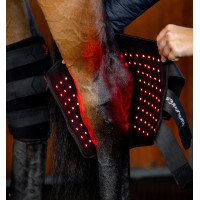 Protège-jarret de Thérapie Horseware par lumière rouge LED Noir / noir
