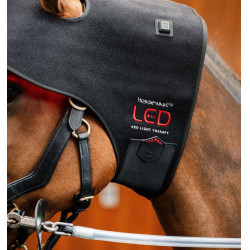 Bonnet de Thérapie par Lumière Rouge LED Horseware Noir / noir