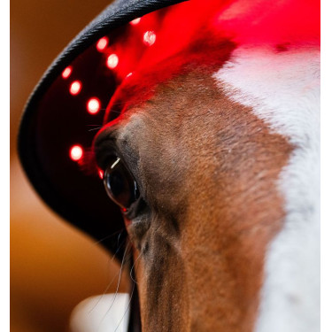 Bonnet de Thérapie par Lumière Rouge LED Horseware Noir / noir