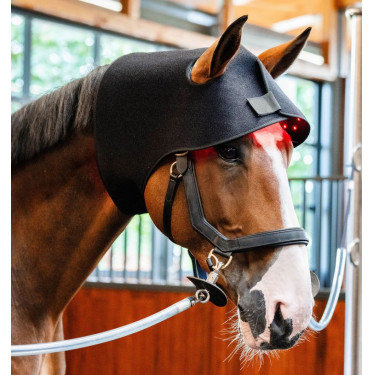 Bonnet de Thérapie par Lumière Rouge LED Horseware Noir / noir