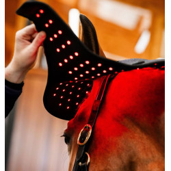 Bonnet de Thérapie par Lumière Rouge LED Horseware Noir / noir
