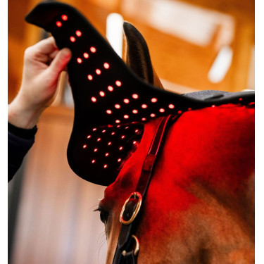 Bonnet de Thérapie par Lumière Rouge LED Horseware Noir / noir