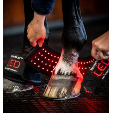 Mini Guêtre de Thérapie Horseware par Lumière Rouge LED Noir / noir