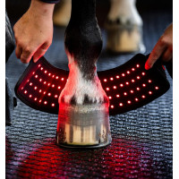 Mini Guêtre de Thérapie Horseware par Lumière Rouge LED Noir / noir