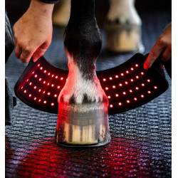 Mini Guêtre de Thérapie Horseware par Lumière Rouge LED Noir / noir