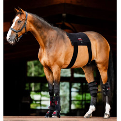 Tapis de Thérapie par Lumière Rouge LED Horseware Noir / noir