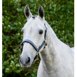 Licol de Pansage Horseware Marine Bleu marine