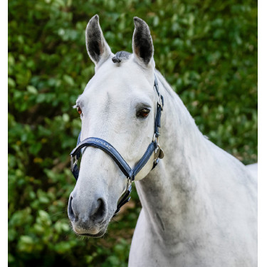 Licol de Pansage Horseware Marine Bleu marine