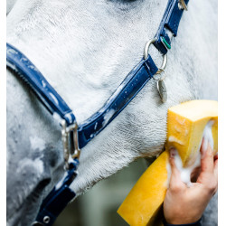 Licol de Pansage Horseware Marine Bleu marine