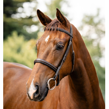 Bridon Horseware Hunter Marron / havane