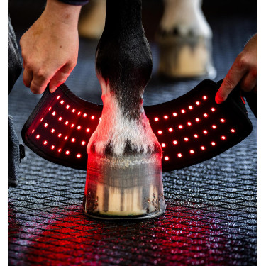 Mini Guêtre de Thérapie Horseware par Lumière Rouge LED Noir / noir