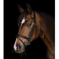 Bridon Waldhausen X-Line Charmbit Noir