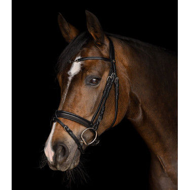 Bridon Waldhausen X-Line Charmbit Noir