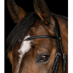 Bridon Waldhausen X-Line Charmbit Noir