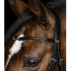 Bridon Waldhausen X-Line Charmbit Noir