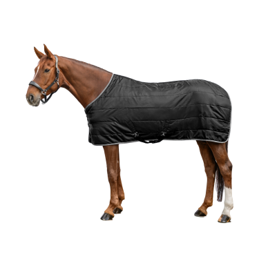 Couverture d'écurie Economic Waldhausen 100 g Noir