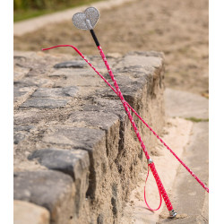 Cravache de dressage Waldhausen pour enfant avec de petits cœurs Rose