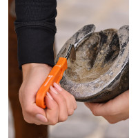 Cure-pied Waldhausen sans brosse Noir