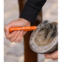 Cure-pied Waldhausen sans brosse