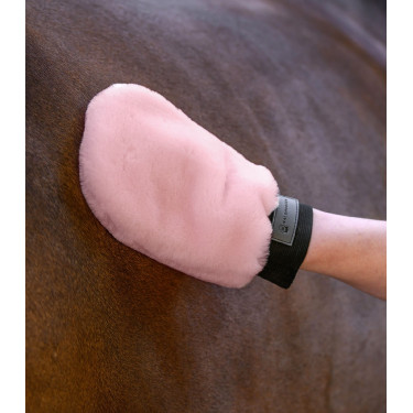 Gant de pansage Waldhausen peau d'agneau Lucky Rose